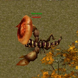 Ganoderma